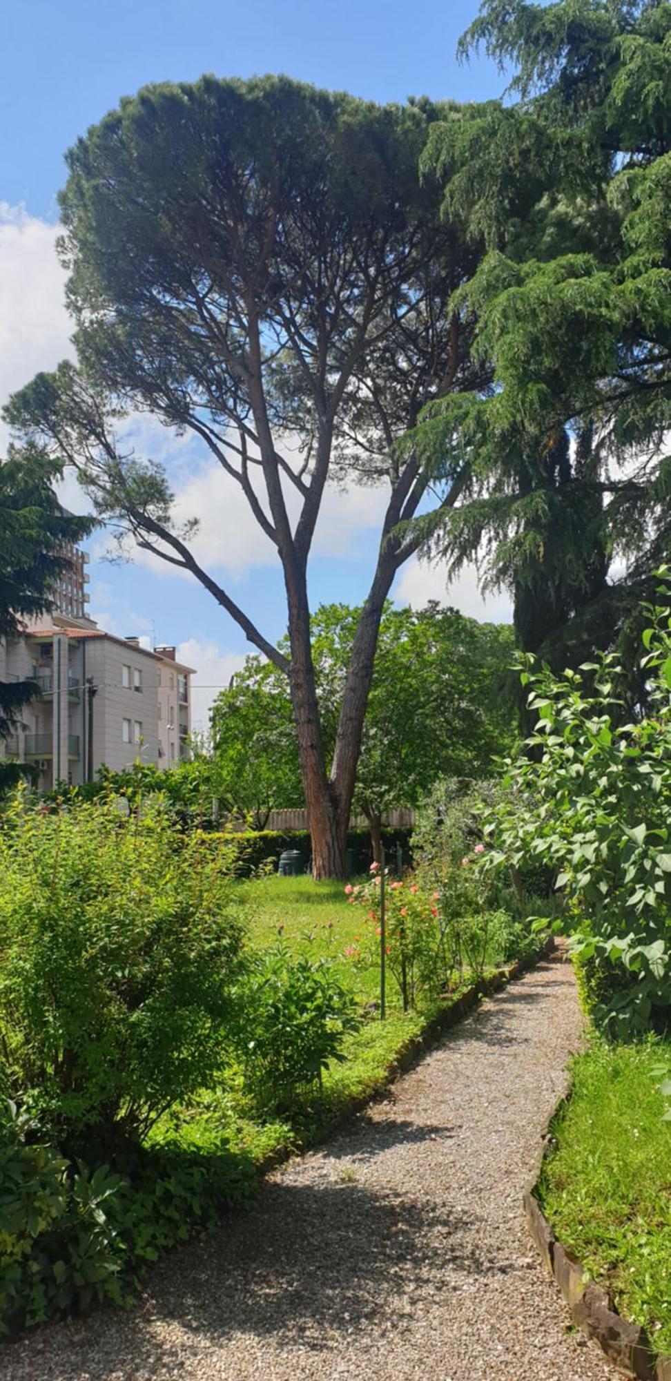 Alejlop Apartment ゴリツィア エクステリア 写真